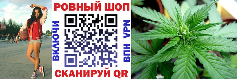 Как найти наркотики Городовиковск Марихуана  Меф  СК  ГАШ 
