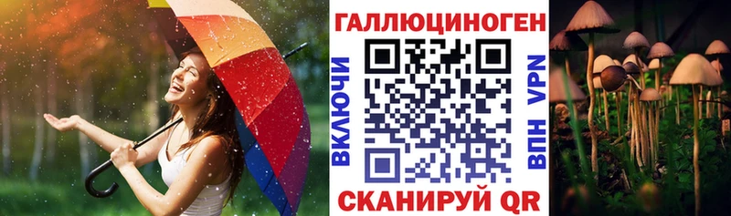 Галлюциногенные грибы Psilocybe  Городовиковск 